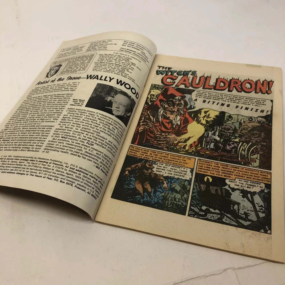 The Haunt‎ of Fear No 2 EC Comics July 1991 Giant Horror Sci Fi Comic Book